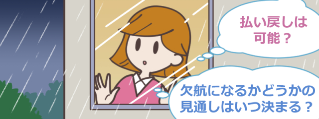 欠航 ana